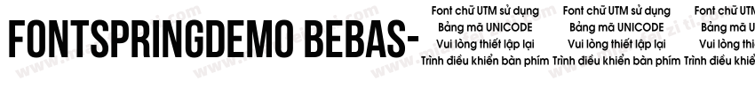 FONTSPRINGDEMO Bebas字体转换